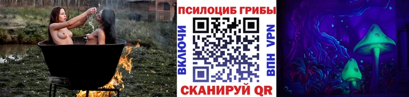 купить наркоту Каменногорск Галлюциногенные грибы Magic Shrooms